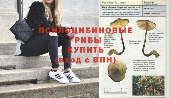 мяу мяу мука Алексин