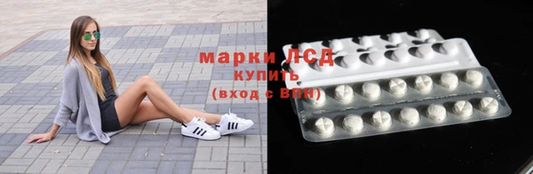 apvp Алзамай