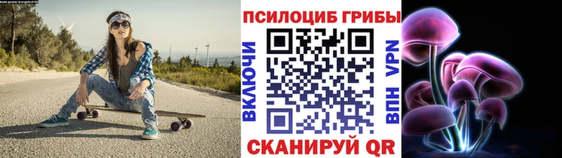 Галлюциногенные грибы Psilocybe  Ржев 